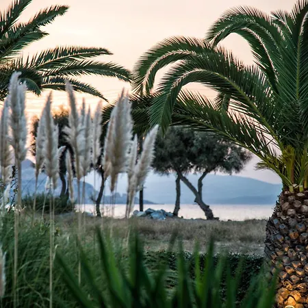 شقة Naxia Naxos City